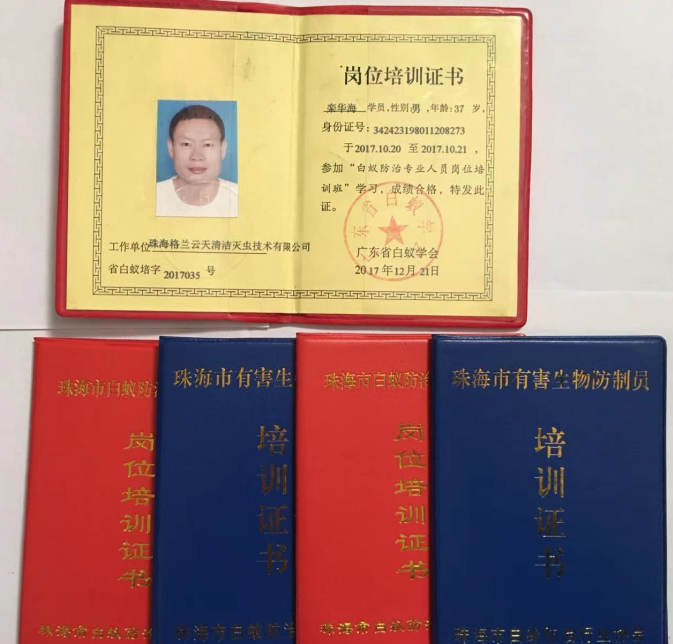 中山市白蚁防治 中山白蚁预防 持证上岗