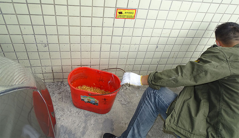 中山商场杀虫灭鼠方案