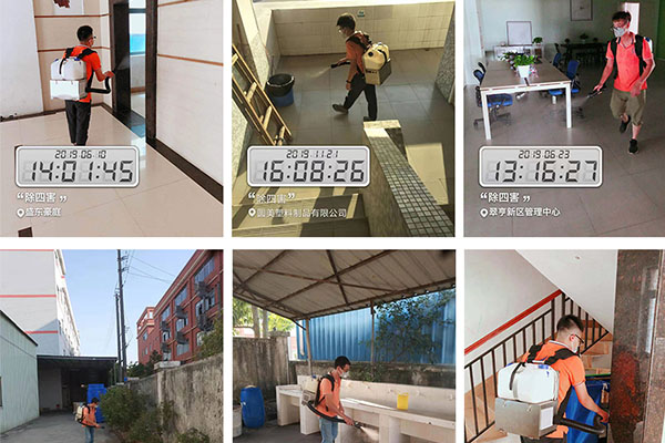 坦洲专业白蚁预防公司