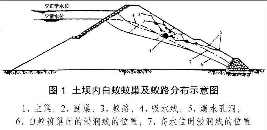 中山白蚁防治施工方案